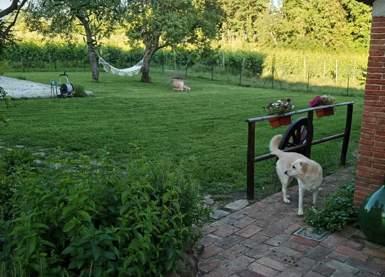Guest house Casale - La Camera Di Leda Lamporecchio Italy
