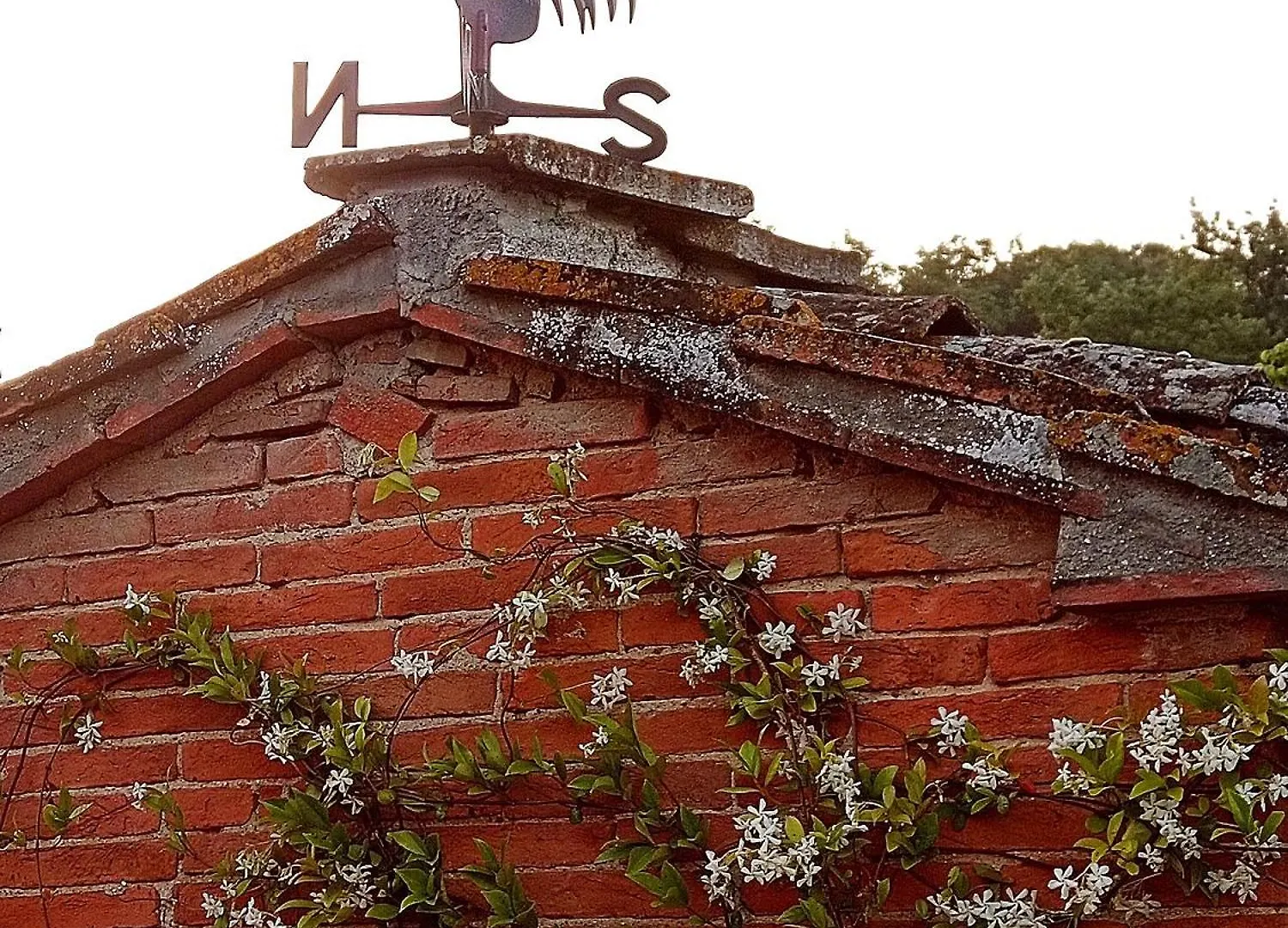 Casale - La Camera Di Leda Lamporecchio Guest house